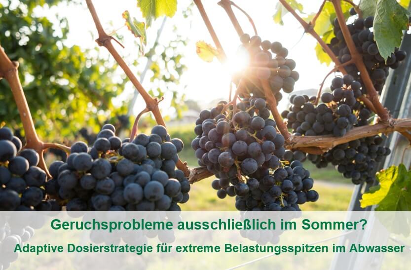 unitechnics-geruchsprobleme-beseitigen belastungsspitzen-abwasser1